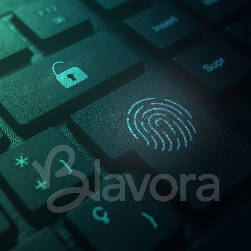 Online sikkerhedstjenester tilbudt af Blavora